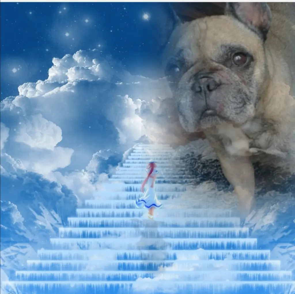 Condolence image of Unbekannt