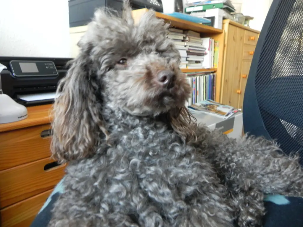 Image from Max