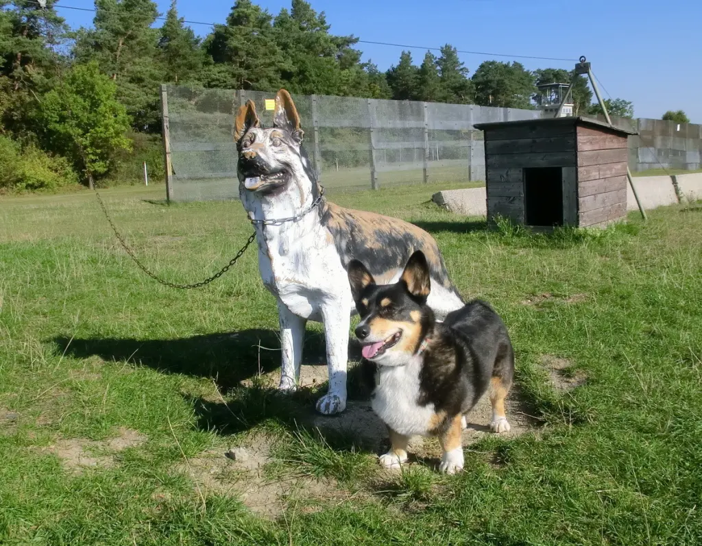 Image from Klaus