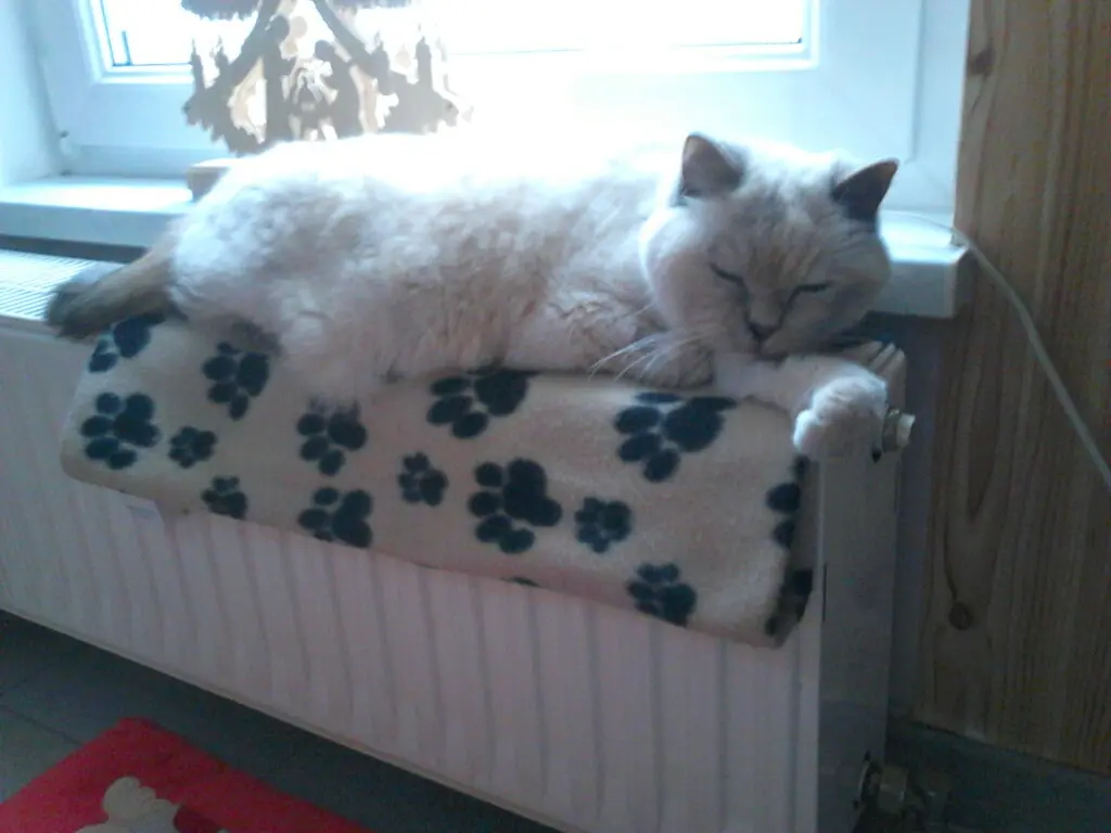 Bild von Tina