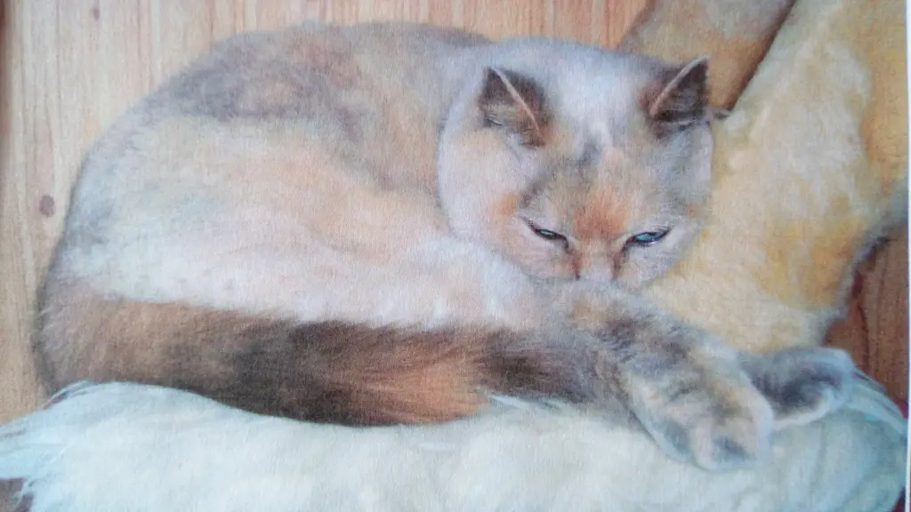 Bild von Tina