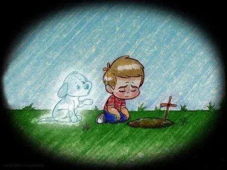 Condolence image of Unbekannt