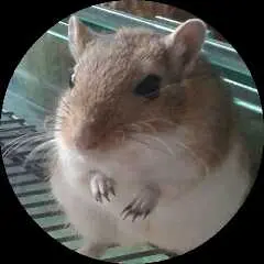 Image from Vicky