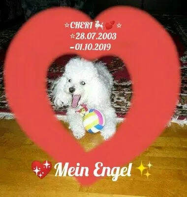 Condolence image of Angela mit Engel CHERI ❤⭐