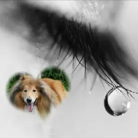 Condolence image of ❤️❤️❤️
