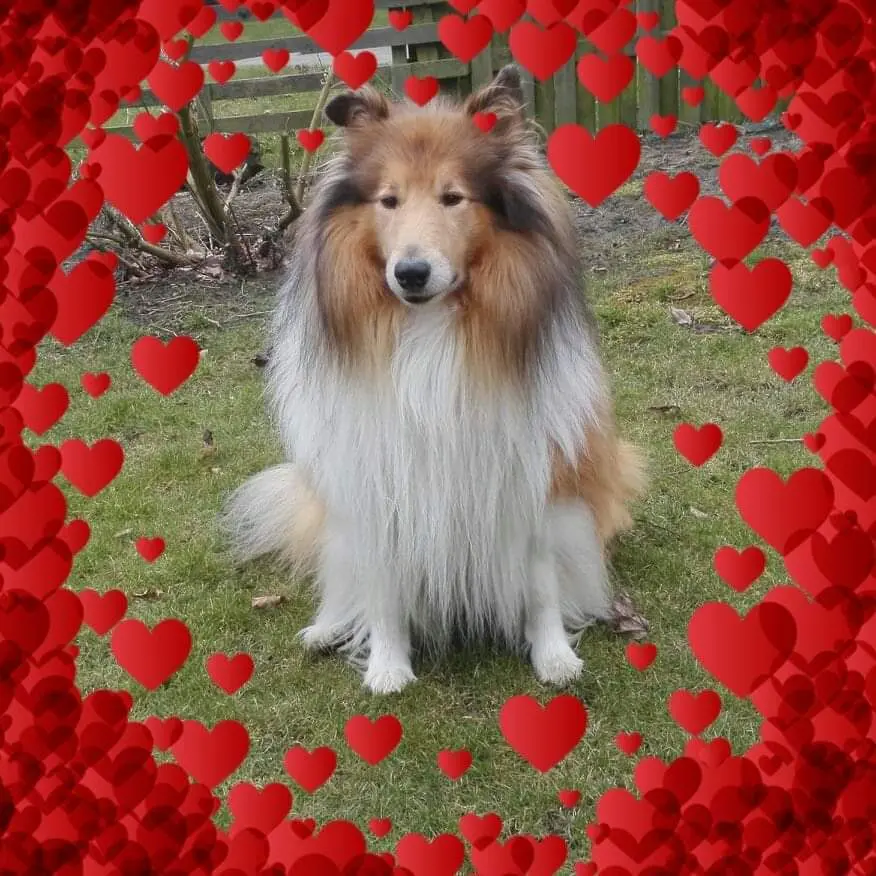 Condolence image of Manuela