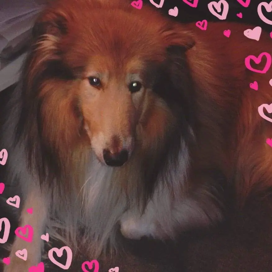 Condolence image of Manuela