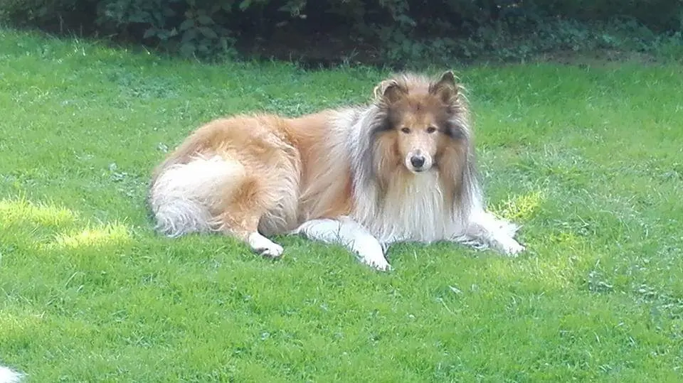 Condolence image of Manuela