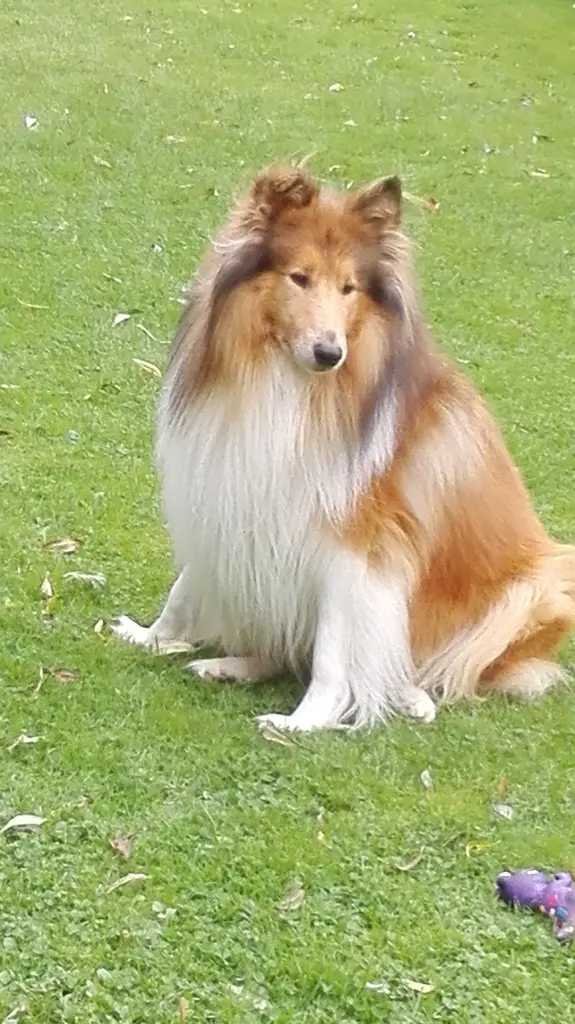 Condolence image of Manuela