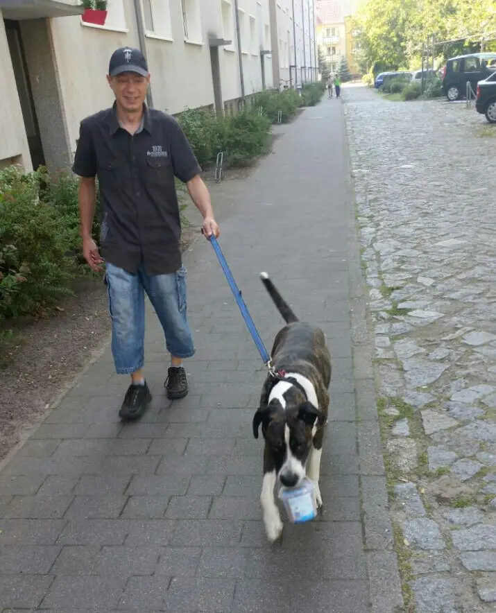 Andachtsbild von Dein Herrchen In Liebe