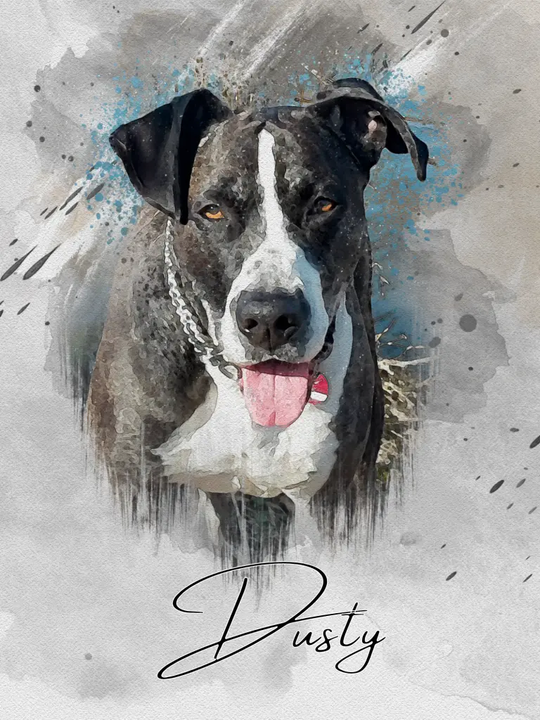 Bild von Dusty