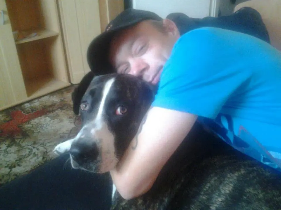 Bild von Dusty