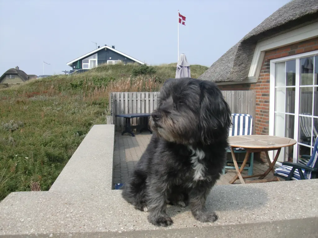 Image from Findus