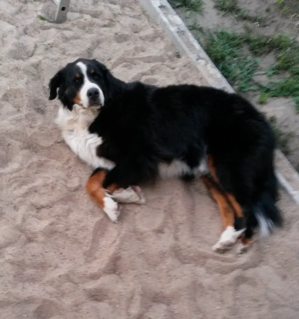 Andachtsbild von Andrea