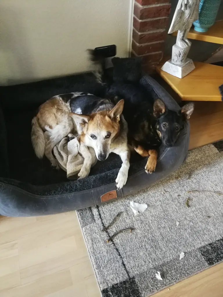 Image from Nelly