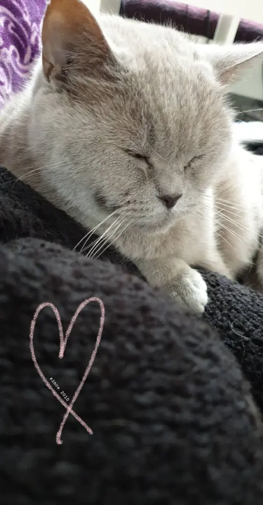 Condolence image of Saskia