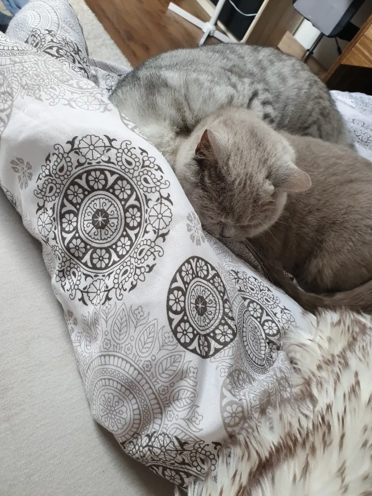 Image from Kira