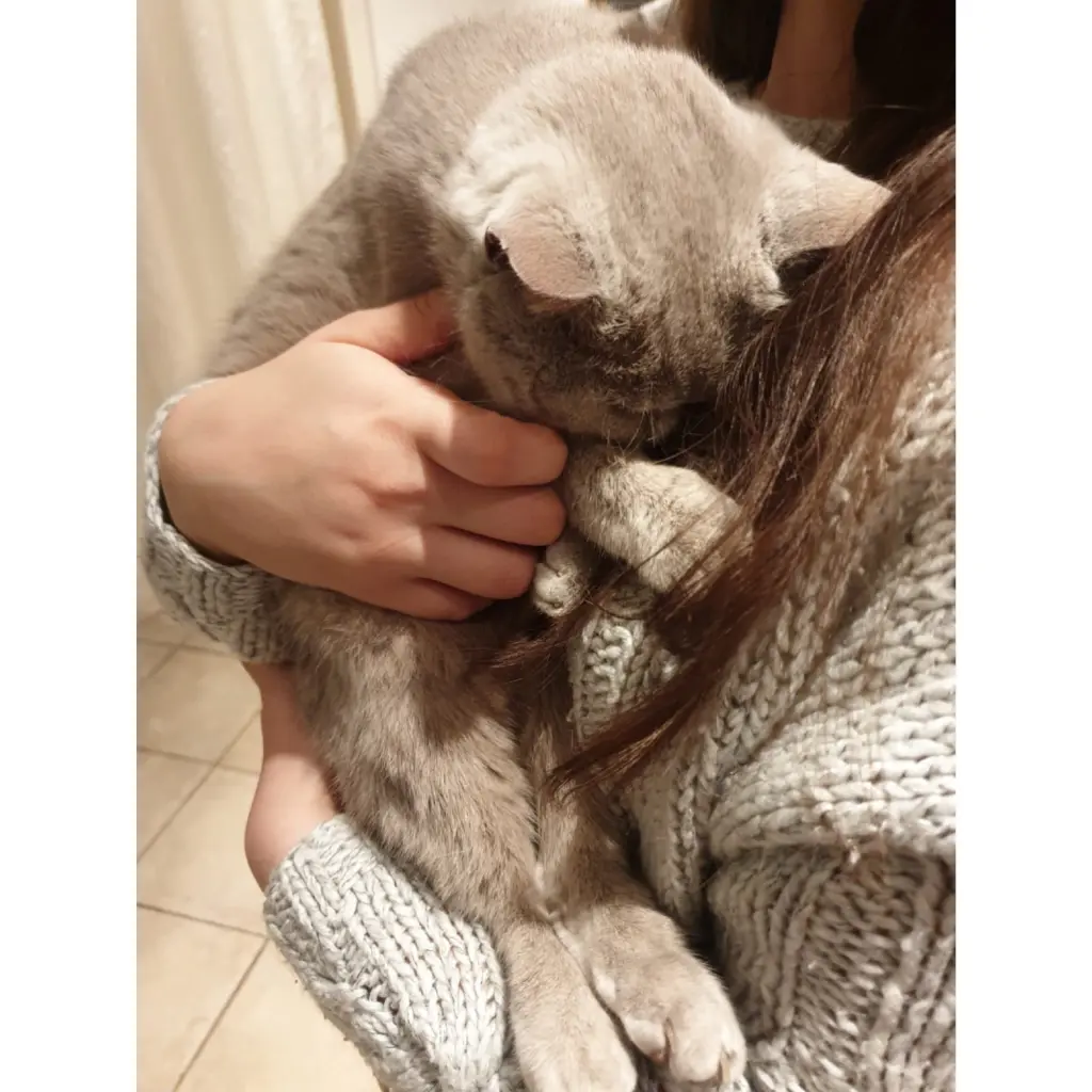 Image from Kira