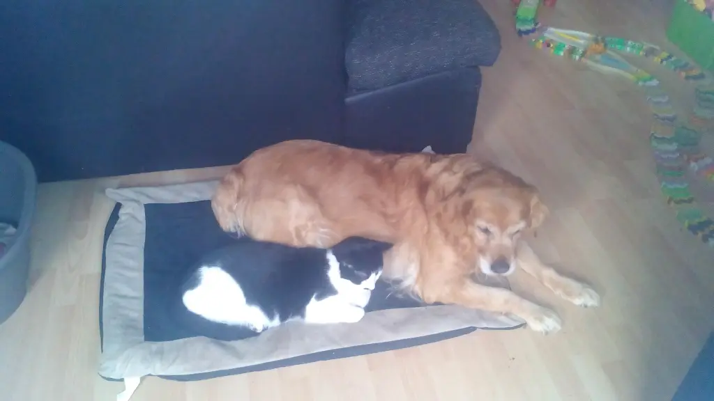 Andachtsbild von Ellen mit Lina ♥️