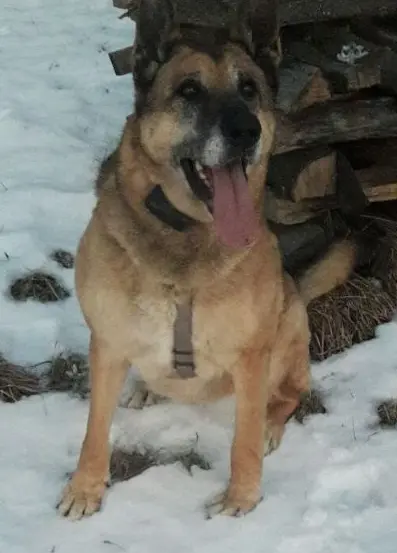 Condolence image of Claudia