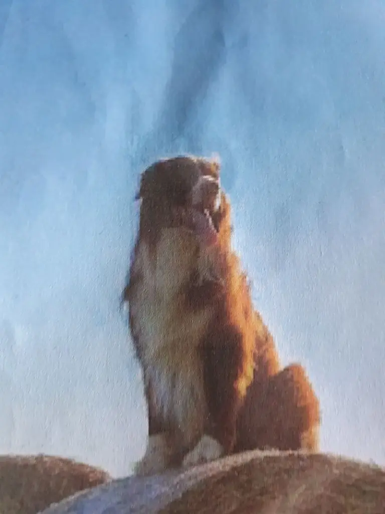 Condolence image of holger