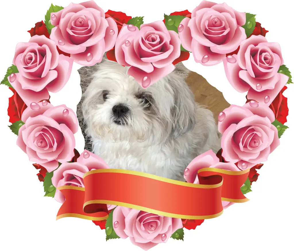 Condolence image of Unbekannt