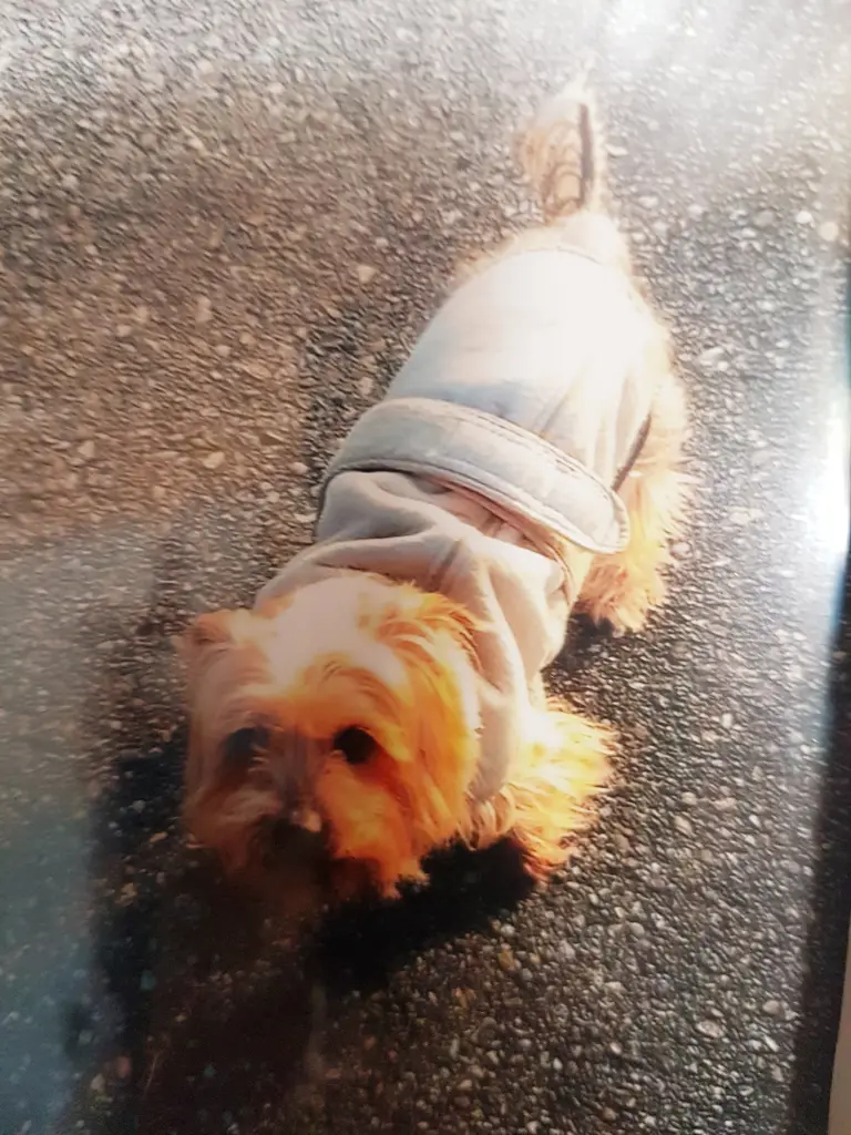 Condolence image of Rena