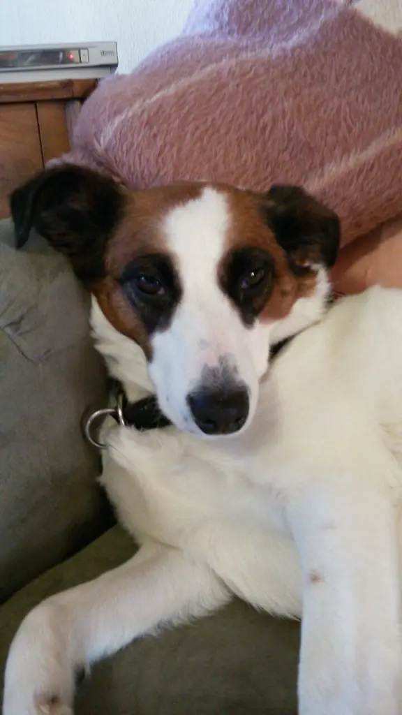 Condolence image of Renate