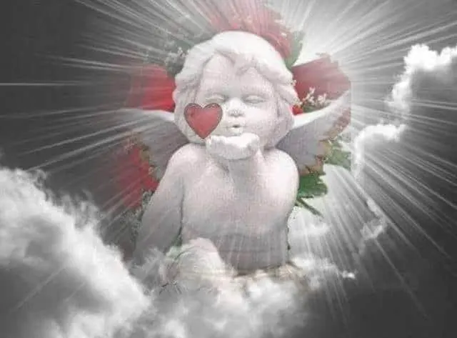Condolence image of Renate für Dana meine kleine