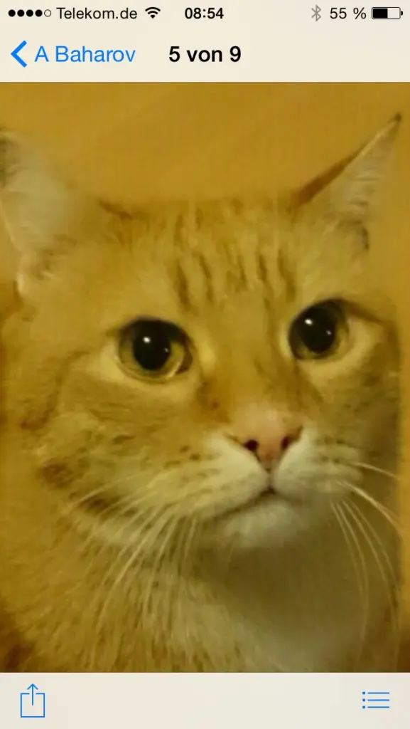 Condolence image of Blue