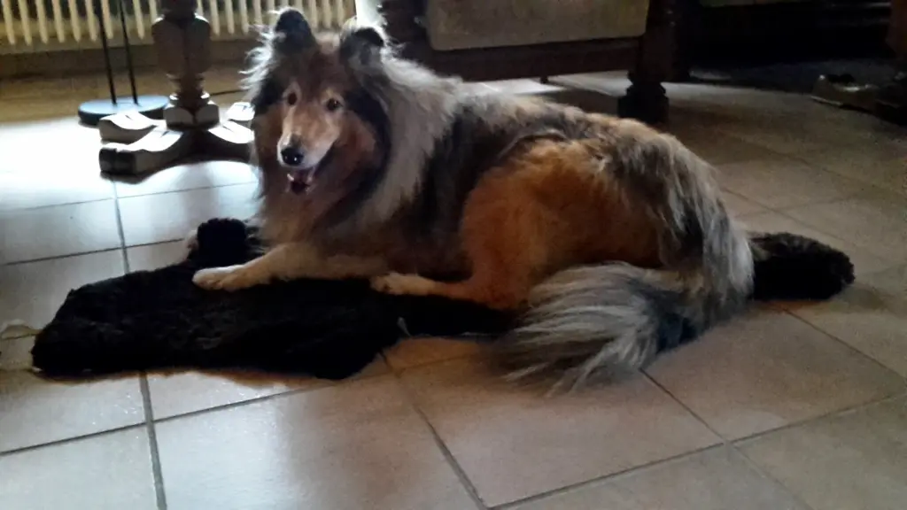 Condolence image of joerg