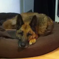 Condolence image of Birgit