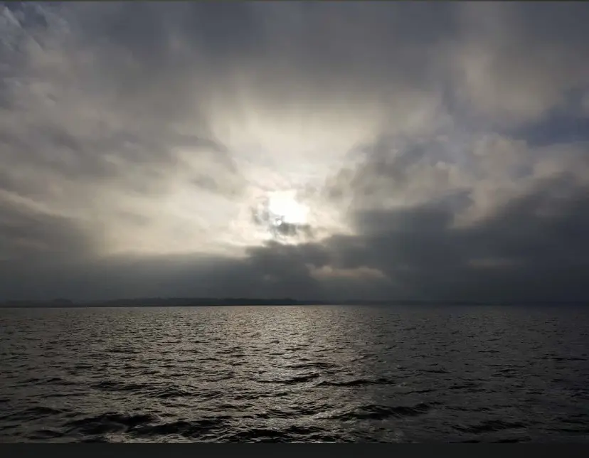 Condolence image of Renate Natale