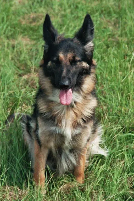 Condolence image of Martina