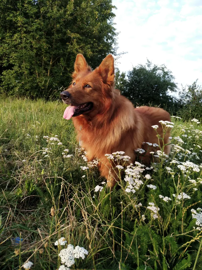 Condolence image of Mama