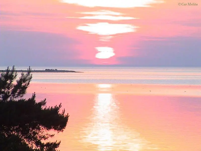 Condolence image of Carmen