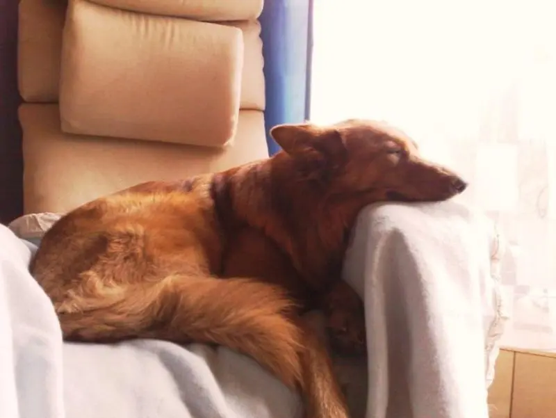 Condolence image of Mama