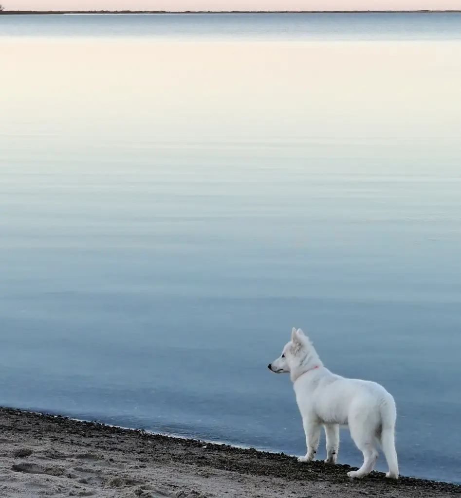 Condolence image of Mama