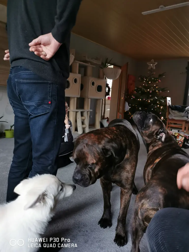 Condolence image of Mama