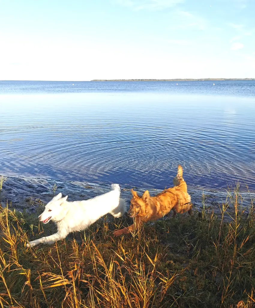 Condolence image of Mama