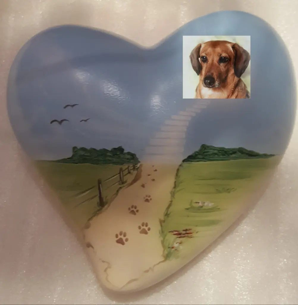 Image from Hannah