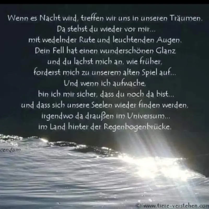 Condolence image of für meine Geliebte kleine Mädchen CHERI ❤✨