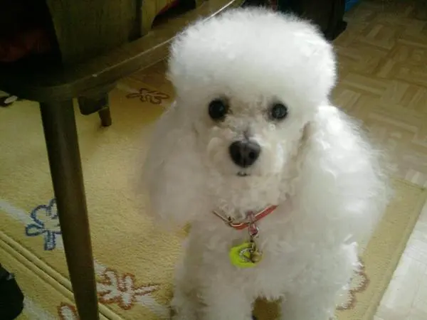 Image from CHERI ❤❤❤