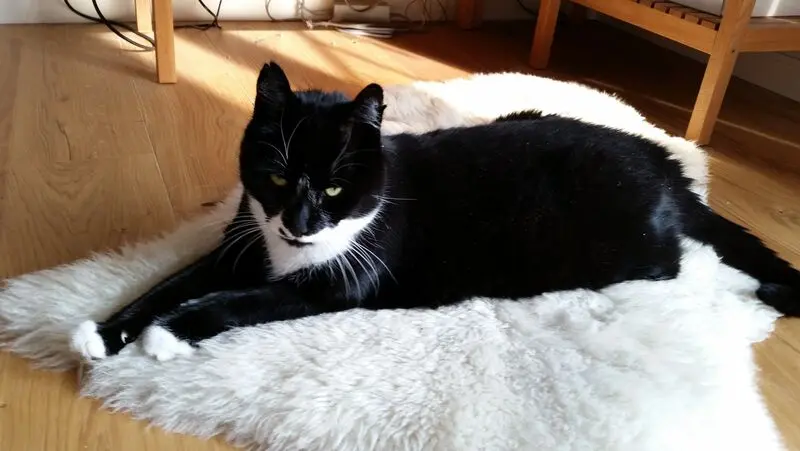 Condolence image of Sabine