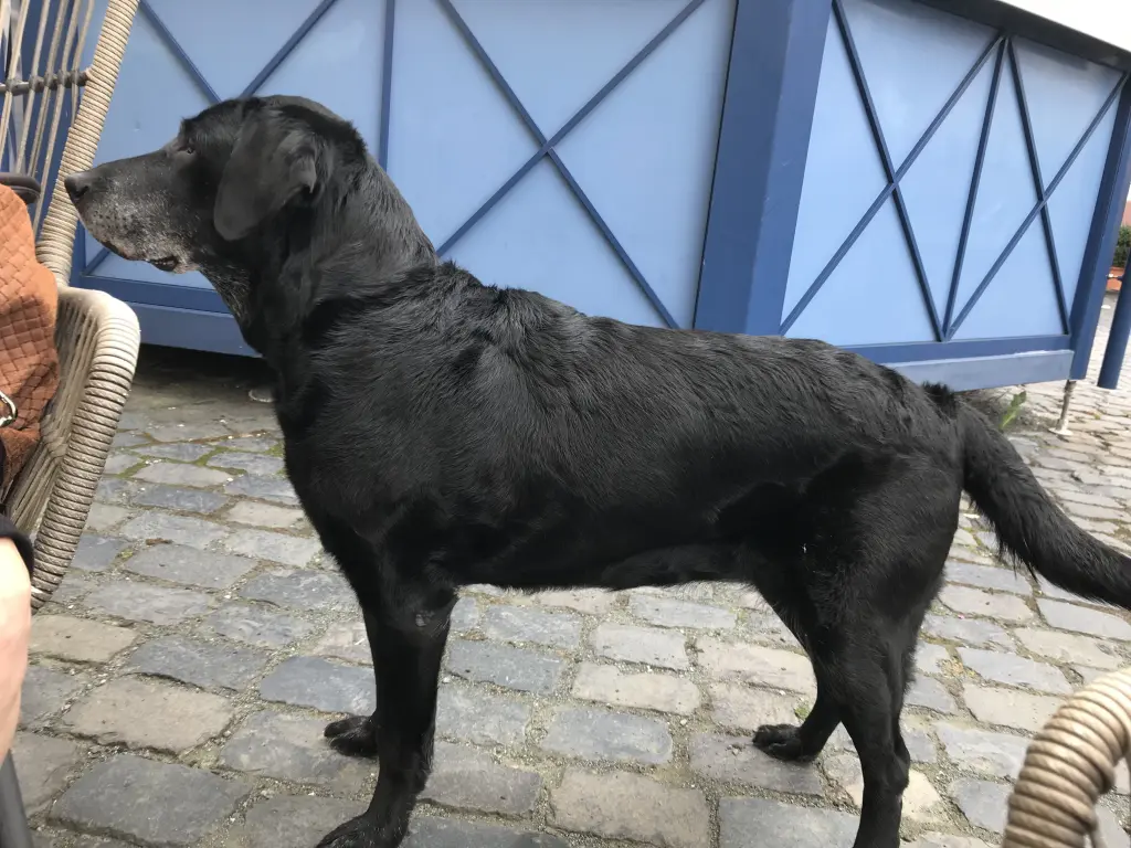 Image from Maggy