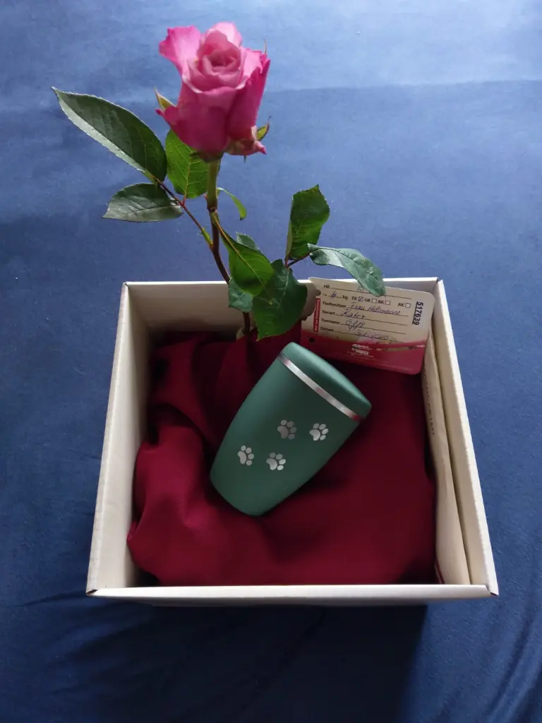 Condolence image of Catherine