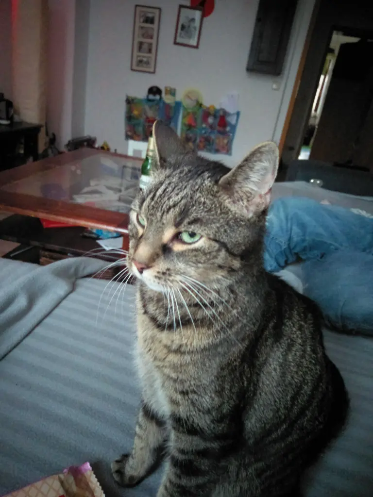 Condolence image of Monique