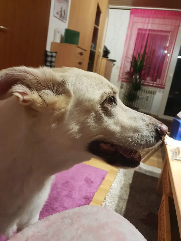 Andachtsbild von Carmen Hellinger