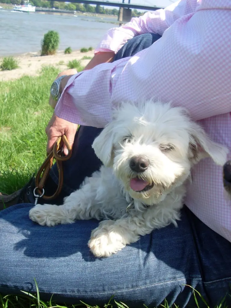 Andachtsbild von Günter mit Hanna im Herzen