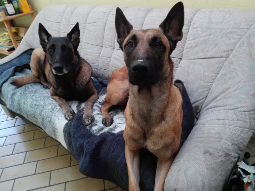 Condolence image of Cornelia, Boe und Aykan, Klaus